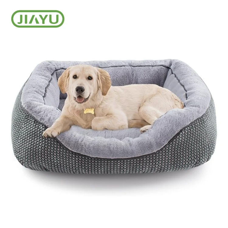 Açık Köpek Yatağı